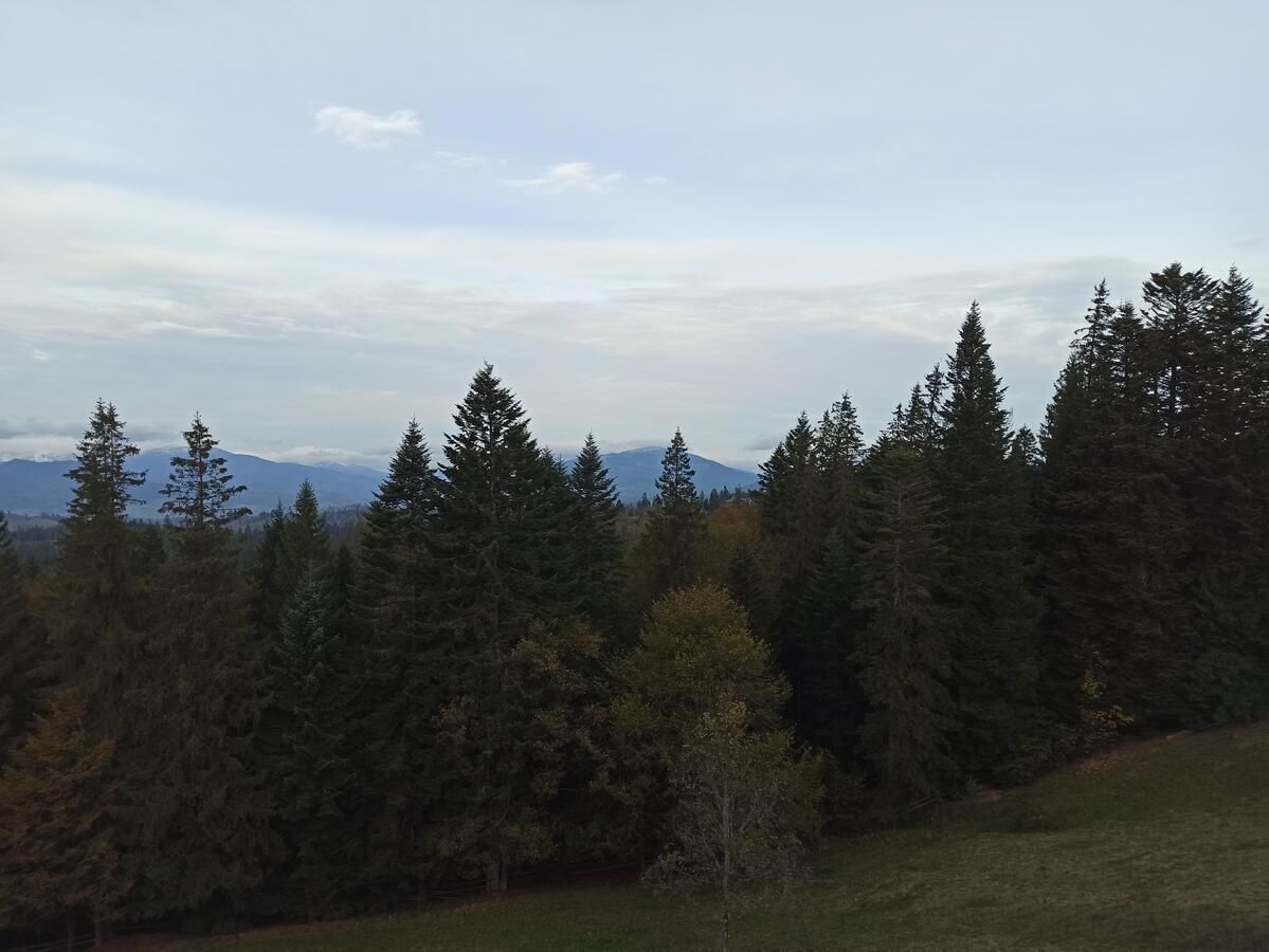 Отель У Павла Яблоница-18