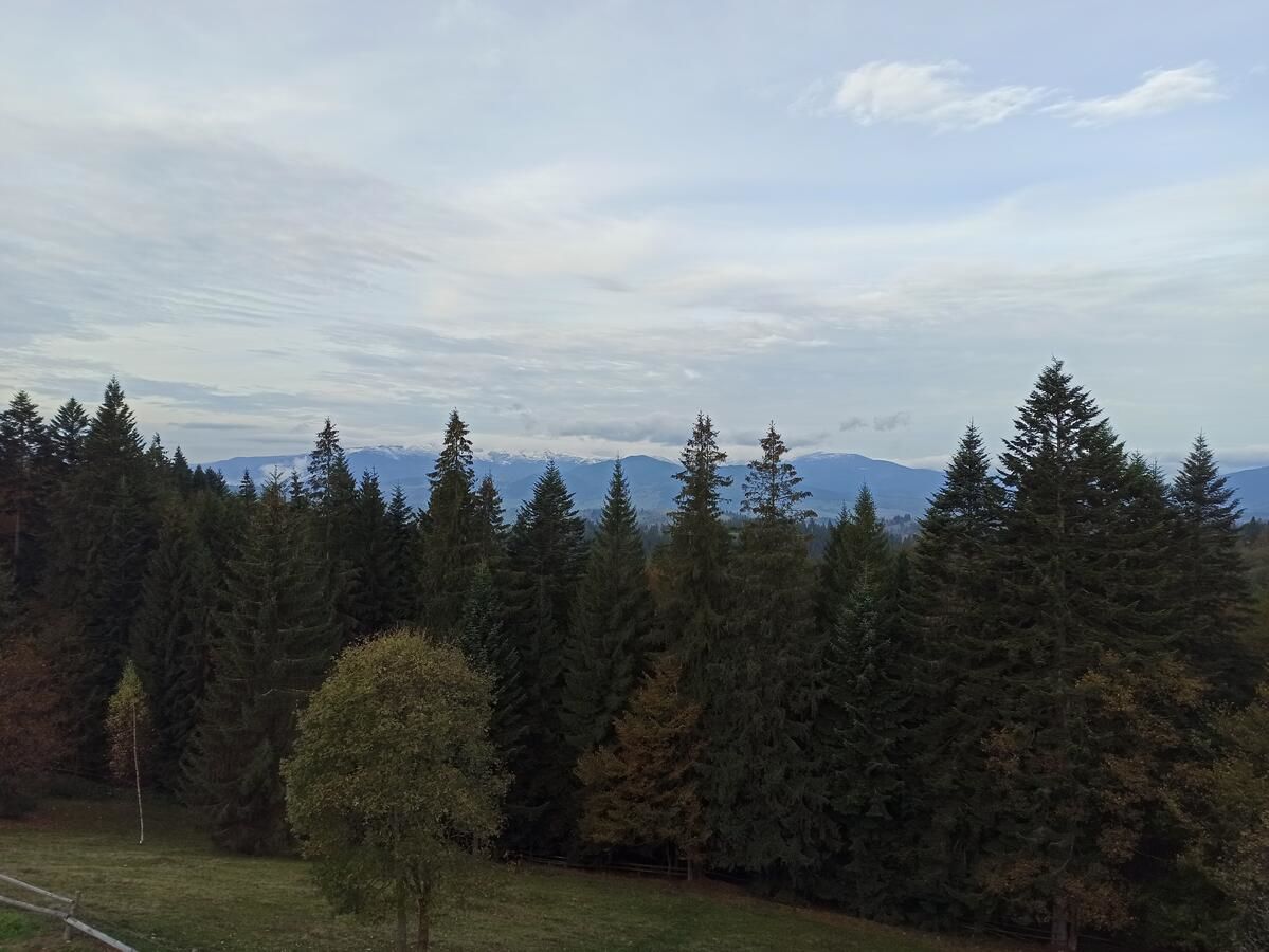 Отель У Павла Яблоница-19